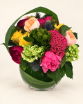 Celosia Celebration