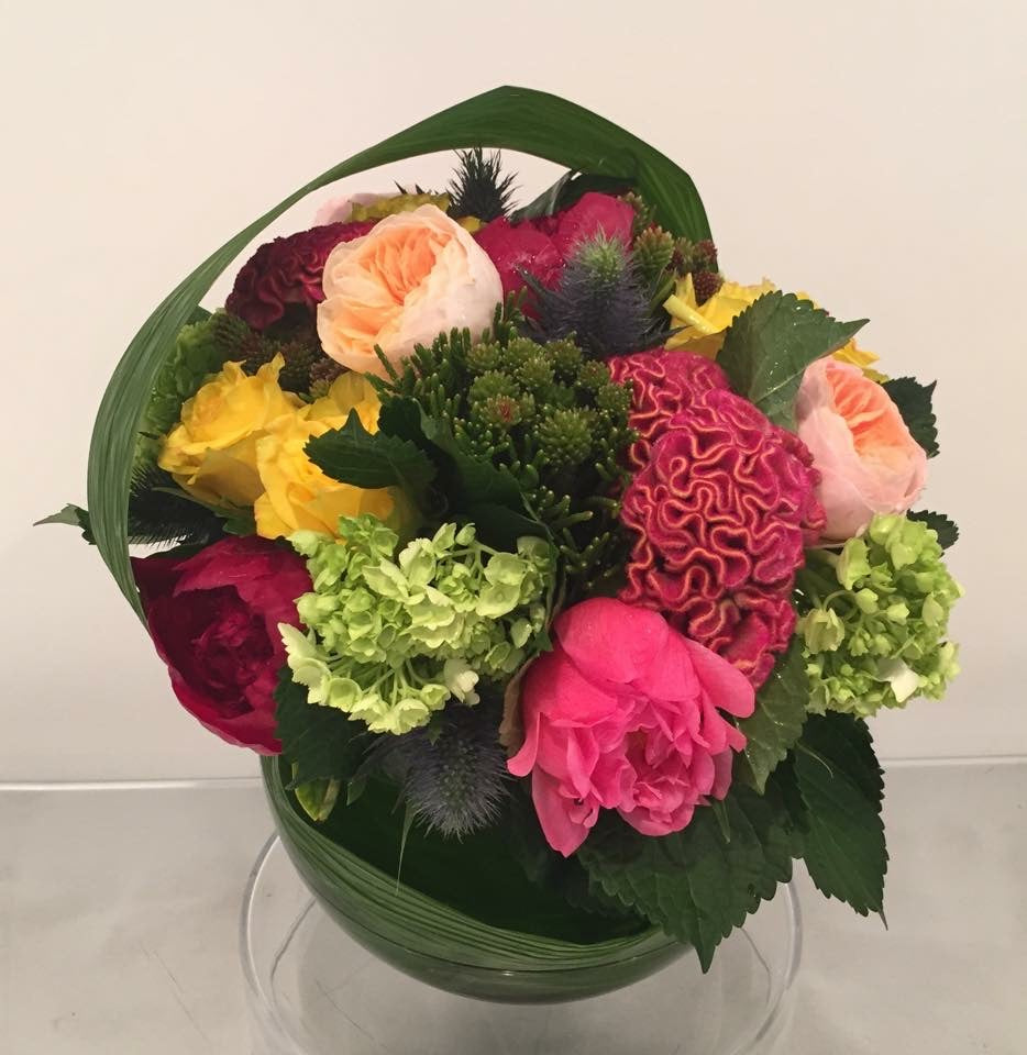 Celosia Celebration