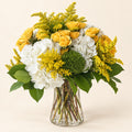 Yellow roses and white hydrangeas with golden flowers and green foliage in a clear glass vase against a warm ivory background